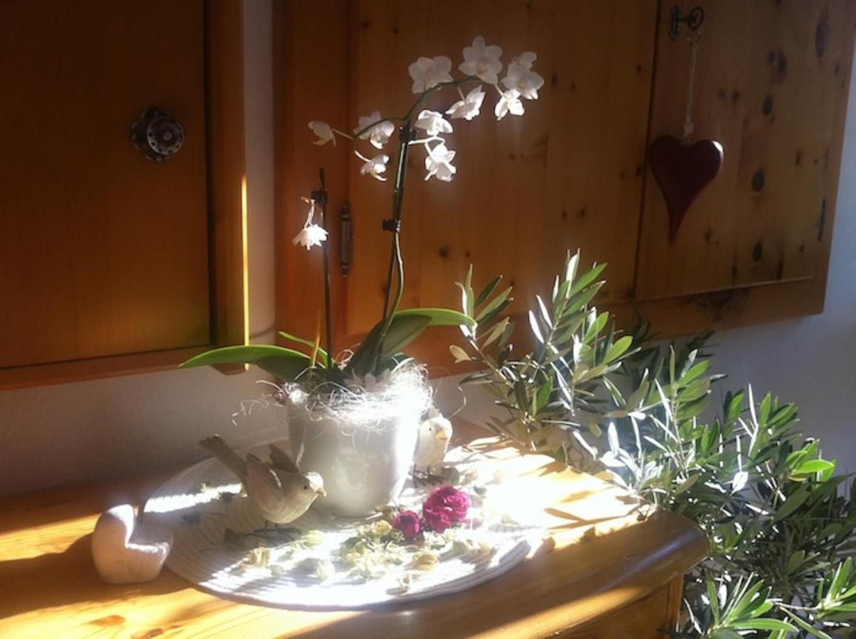 Pension Und Apartment Edelweiss ハイリゲンブルート エクステリア 写真